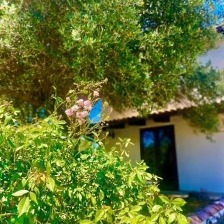 Camera Villa Sarda Aurora Elmas Bagian luar foto
