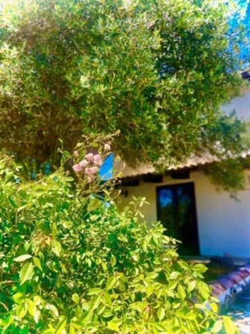 Camera Villa Sarda Aurora Elmas Bagian luar foto
